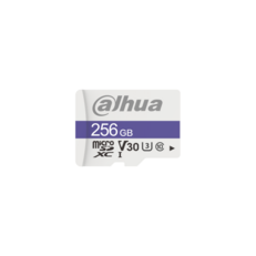 DHI-TF-C100/256GB